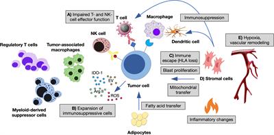 Single-Cell Technologies to Decipher the Immune Microenvironment in Myeloid Neoplasms: Perspectives and Opportunities